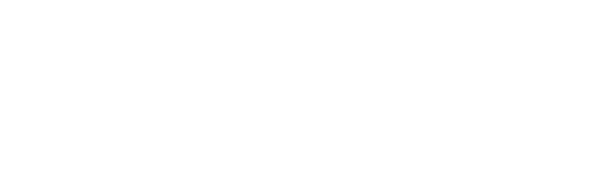 vibe_logo_white
